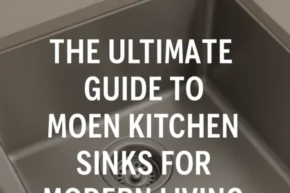 Moen Kitchen Sinks