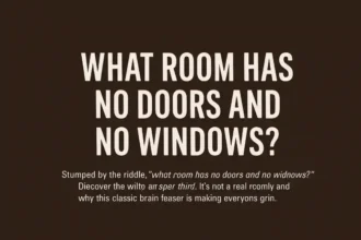 what room has no doors and no windows